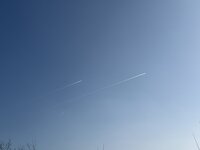 IMG_3848.jpeg