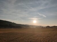 IMG_20260228_165749.jpg