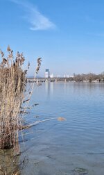 20260308_104827.jpg
