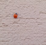 20260308_153155.jpg