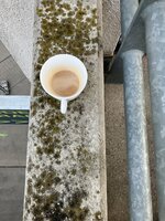 IMG_1955.jpeg