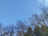 WhatsApp Image 2026-03-01 at 16.41.49.jpeg