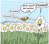 FB_IMG_1773125397183.jpg