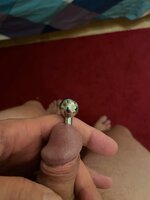 IMG_6369.jpeg IMG_6369.jpeg