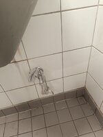 IMG_20260312_154120.jpg