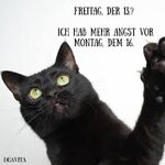 IMG_3324.jpeg