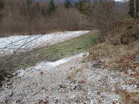 IMG_20260314_145058.jpg