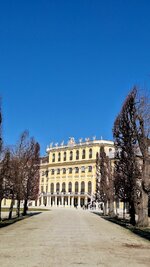 20260314_102924.jpg