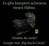 IMG_5322.jpeg