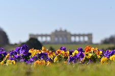 DSC_9156.jpg
