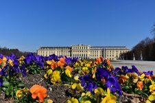 DSC_9135.jpg