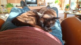 IMG-20260315-WA0011.jpeg
