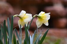 DSC_9453.jpg