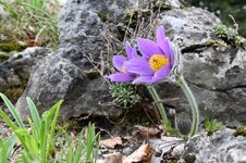 DSC_9469.jpg