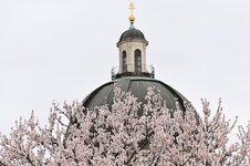 DSC_9412.jpg