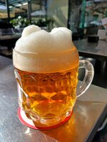 20250319 (10).jpg