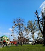 20260315 (4).jpg