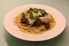 Bolognese-1603.jpg
