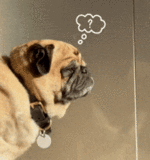 20260318_190351.gif