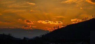 20260320_175155.jpg
