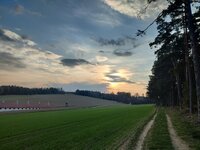 IMG_20260320_171644.jpg