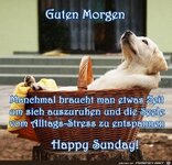 gutenmorgenhund2.jpg