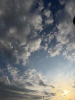 IMG_4689.jpeg