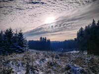 IMG_20251226_104744-EFFECTS.jpg