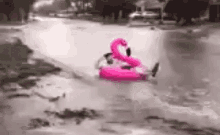 1774446847379.gif
