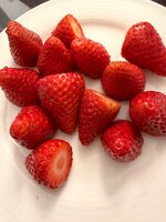 IMG_4791.jpeg