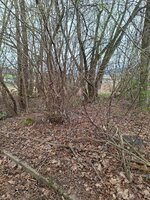 20260326_154044.jpg