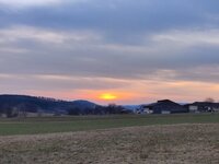 IMG_20260308_174826.jpg