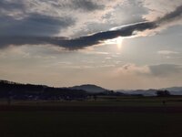 IMG_20260322_170032.jpg
