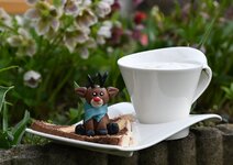 Kaffee-2903-1.jpg
