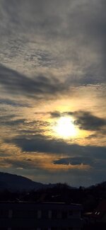 20260325_165628.jpg