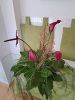 20260330_163554.jpg 20260330_163554.jpg