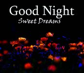 GN Sweet.jpg