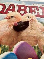IMG_2085.jpeg