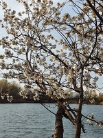 20260401_181802.jpg