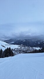 20260327_114456.jpg