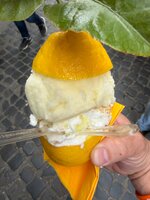 IMG_5283.jpeg