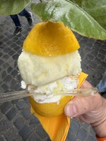 IMG_5283.jpeg
