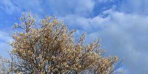 DSC_0324.jpg