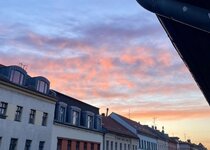 IMG_4124.jpeg