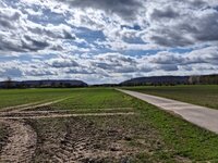 20260404_130016.jpg