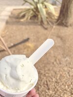IMG_0105.jpeg