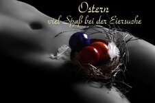 eier-suche.jpg