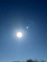 IMG_5443.jpeg