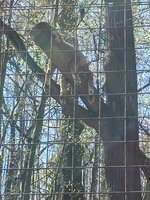 IMG_2107.jpeg