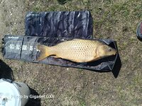IMG_20260405_131209_876.jpg